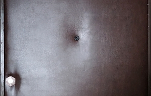 Фото двери с винилискожей