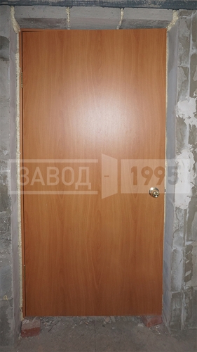 Вид старой двери с ламинированной отделкой