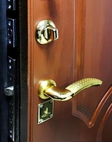 Усиленные входные двери