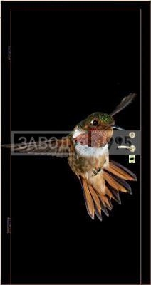 Фотопанель Колибри