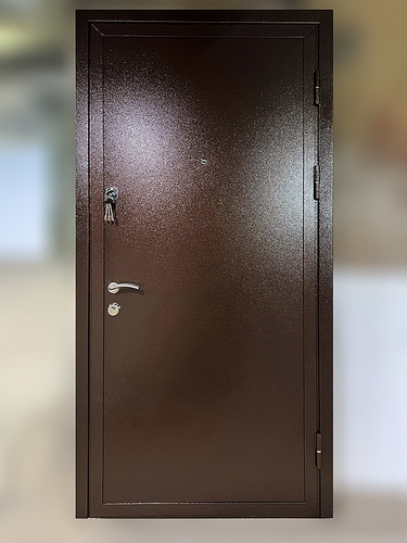 Дверь с бронеконвертом