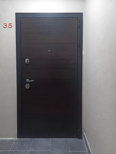 Дверь с гладкой панелью