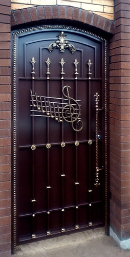 Дверь с коваными элементами