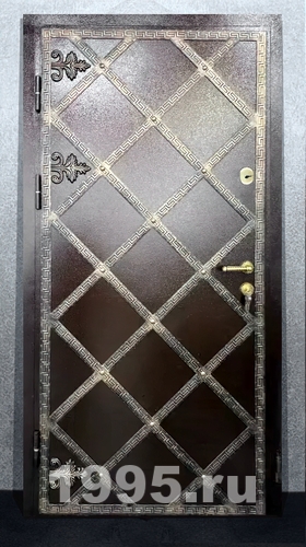 Дверь с ковкой