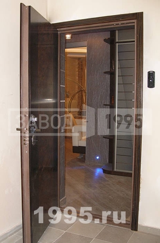 Дверь с ламинатом в интерьере Дверь с ламинатом в интерьере