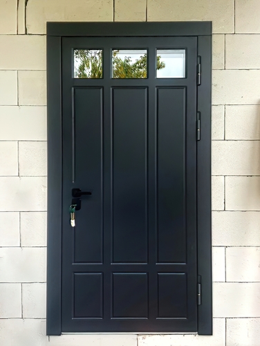 Дверь с покраской по RAL