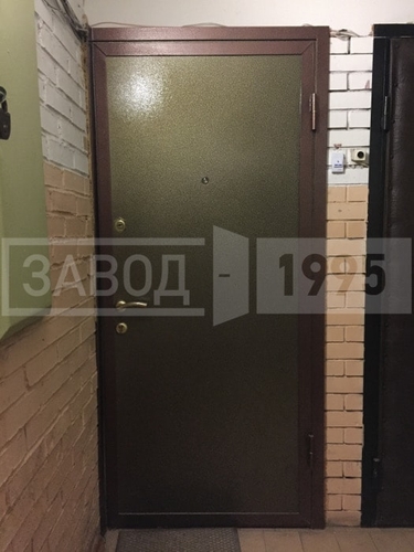 Вид установленной двери