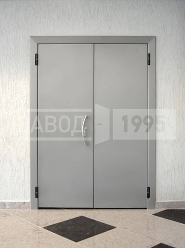 Двустворчатая техническая дверь