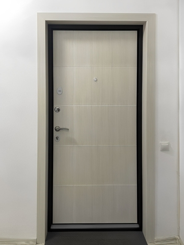 Фото двери в квартиру