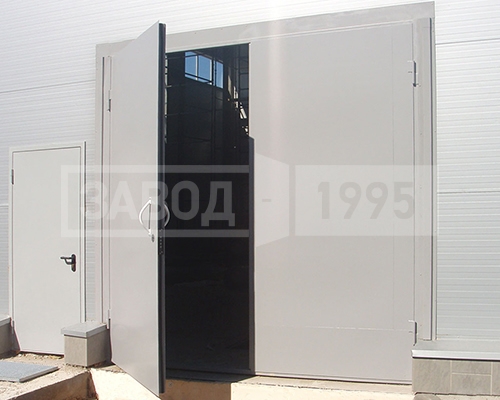 Гаражные ворота №10 Гаражные ворота №10