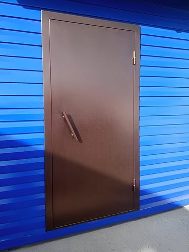 Глухая порошковая дверь