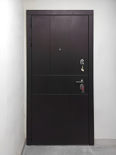 Квартирная стальная дверь
