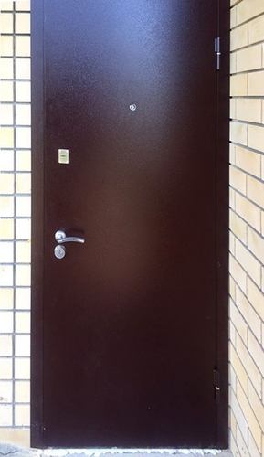 Однопольная порошковая дверь