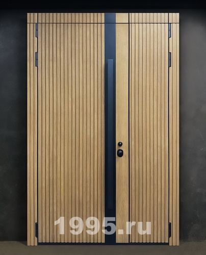 Полуторная дверь с черной полосой