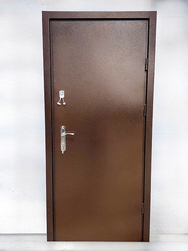 Порошковая дверь в дачном доме