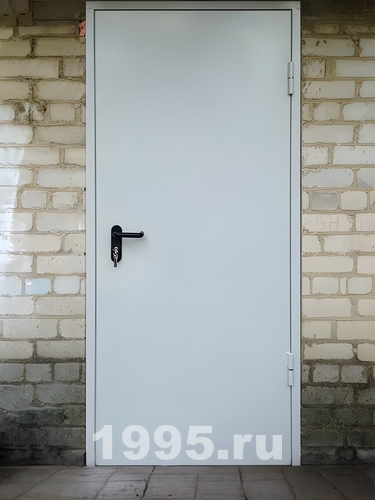 Однопольная глухая противопожарная дверь