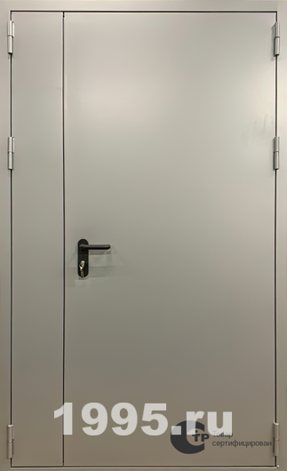 Глухая огнестойкая дверь Глухая огнестойкая дверь