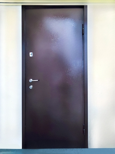 Стальная дверь с порошковой отделкой