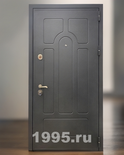 Дверь в квартиру с рисунком по металлу отделка порошок Дверь в квартиру с рисунком по металлу отделка порошок