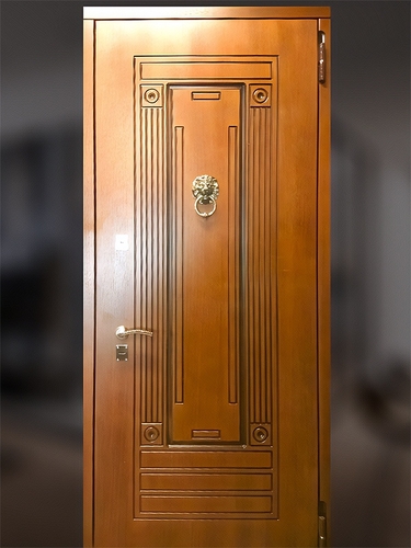 Входная дверь с кнокером